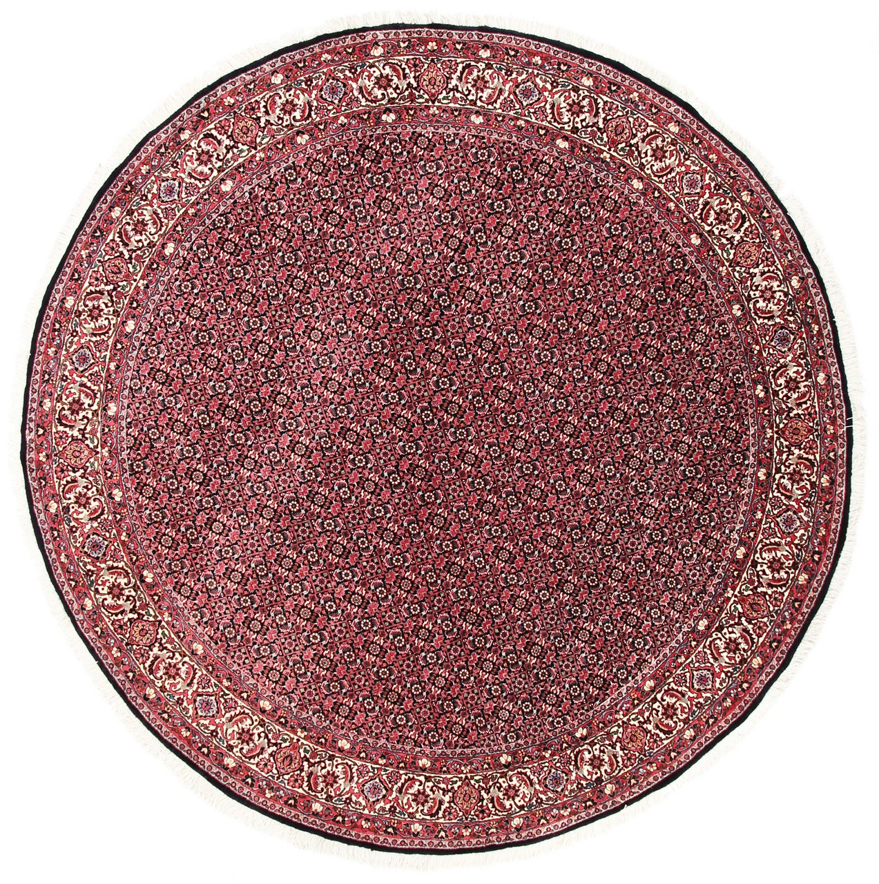 Alfombra persa Bidjar Tekab 250x250 250x250, Alfombra persa Anudado a mano